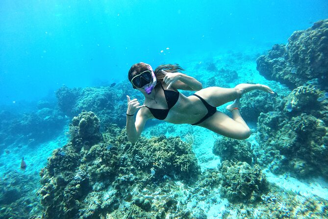 The Cozumel Turtle Sanctuary Snorkel Tour - Cielito Little Heaven: Snacks, Drinks, and the Golden Hour Ride
