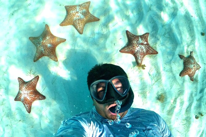 The Cozumel Turtle Sanctuary Snorkel Tour - What to Bring: Sunscreen Rules, Towels, and the Wet-Boat Reality