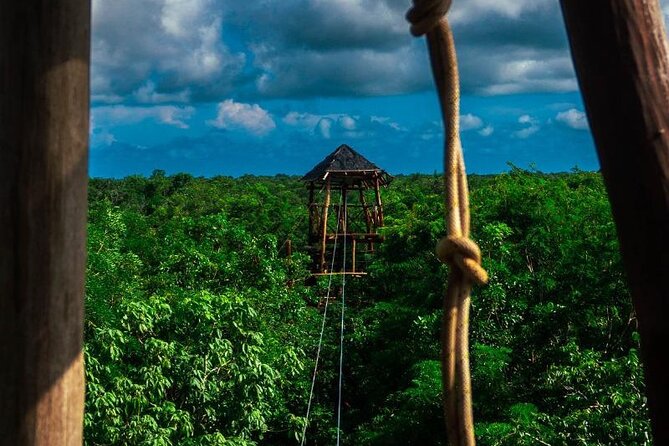 The Original Cozumel Zipline Adventure - Harness Setup and Safety: How the Crew Keeps It Under Control