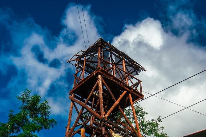 The Original Cozumel Zipline Adventure - Meeting Point and Cruise Timing: Getting There Without Stress