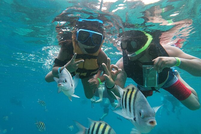 The Perfect Day in Chankanaab Park Cozumel - The 5-hour plan: reef time, Mayan site, and park comfort