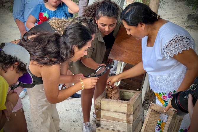 Tierra Maya – Sanctuary of Living Mayan Traditions - Bee Sanctuary Lessons: Stingless Hives, Honey Types, and Melipona Tasting