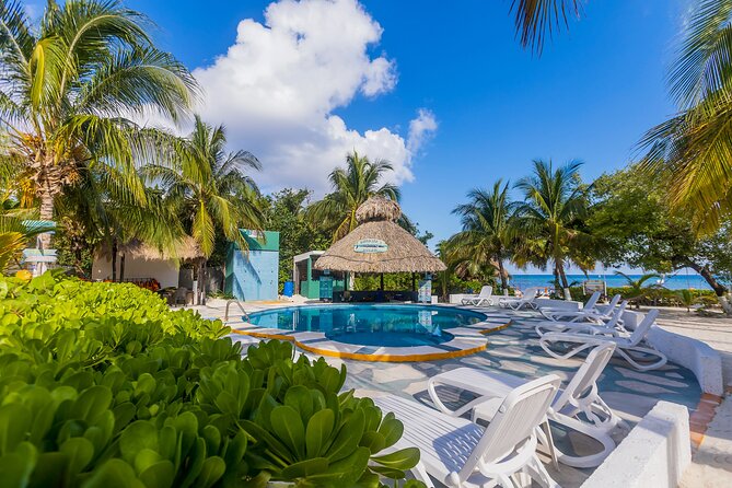 Tikinxic Barefoot Fish Guided Cookout Experience in Cozumel - What You Eat: The Included Menu and What It Means for Your Day