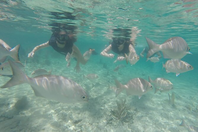 Tour in Buggy Cedral History Snorkeling and Lunch in Cozumel - How the pace feels across the day