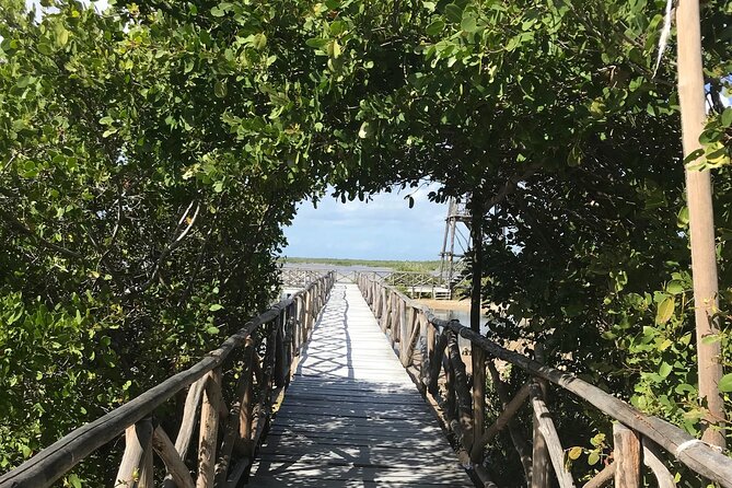 Tour to Cozumel Eco Nature Escape and Otoch Mayan Experience - Punta Sur: Laguna Colombia and the lighthouse climb