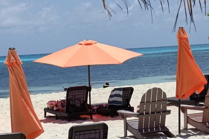 Tour to Cozumel Eco Nature Escape and Otoch Mayan Experience - Virgin Beach: secluded swim time and a lunch that lands well