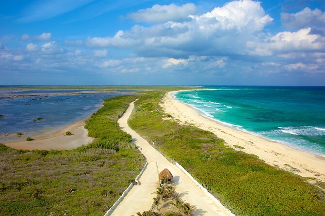 Tours along the beaches of Cozumel Mexico by buggy all inclusive - Key Highlights You’ll Feel Immediately