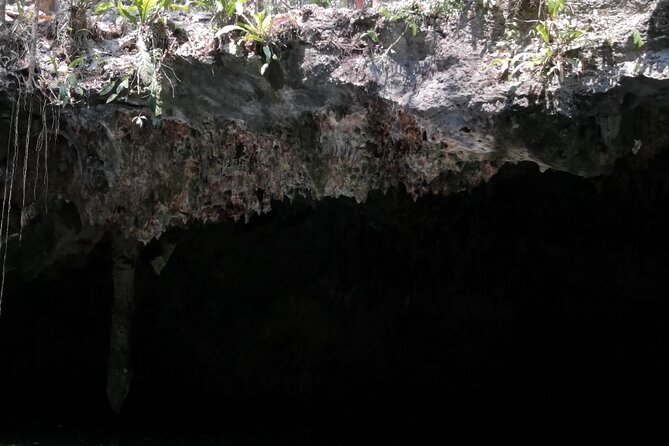 Tours On The Island Cozumel - Private tour vibe: how Kevin, Carlos, and Landy can shape your day