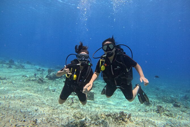 Try diving without previous experience from shore - In-Water Training: Three Simple Skills First