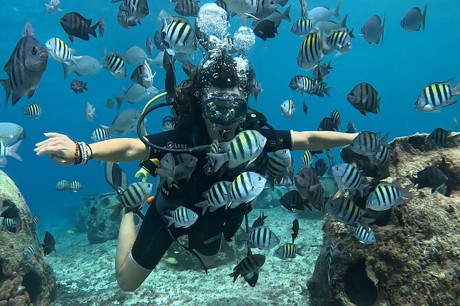 Try diving without previous experience from shore - Coral Reconstruction Project: Your Marine Life Checklist