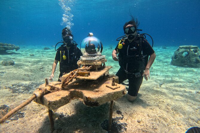 Try diving without previous experience from shore - Photos and Videos: Getting a Souvenir That Looks Like Real Life