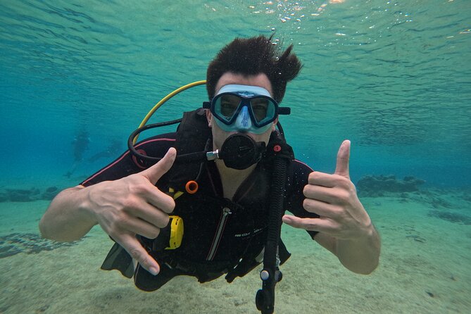 Try diving without previous experience from shore - The Pre-Water Lesson: Theory That Helps You Breathe