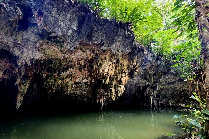 Wild Jade Cavern ATV Tour With Transfer - Jade Cenote and Jade Cavern: Bats, Jungle Paths, and Water Expectations